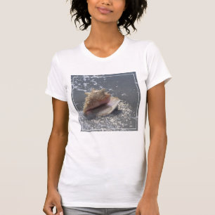 T-shirt Coquillage sur l'île de la plage Sanibel, la