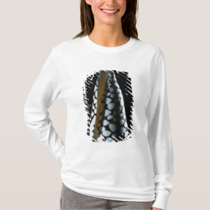 T-shirt Coquille 2 de cône