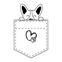 Corgi en poche avec chapeau de Père Noël | cadeaux