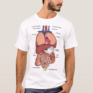T-shirt Corps humain