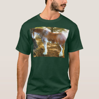 T-shirt Corse 1