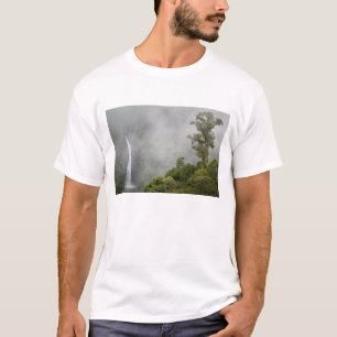 T-shirt Costa Rica, forêt nuageuse dans les montagnes près