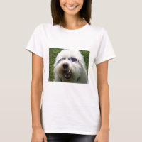 Coton cool de Tulear