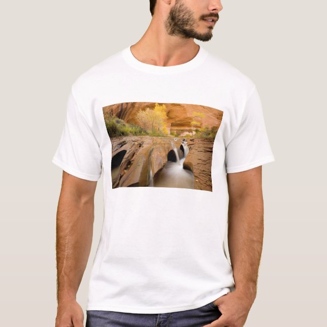 T-shirt Cottonwoods en automne, Coyote Gulch, Glen (Devant)