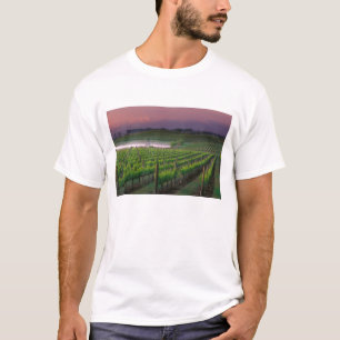 T-shirt Couleur du lever de soleil dans le brouillard loin
