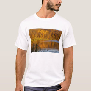 T-shirt Couleurs d'automne dans le parc d'État de Maplewoo