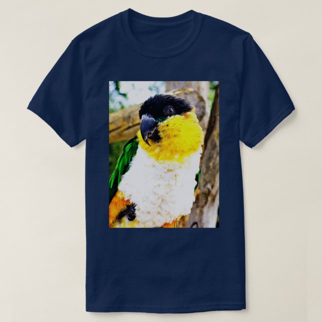 T-shirt Coy (Design devant)