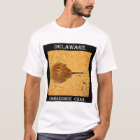 Crabe en fer à cheval du Delaware