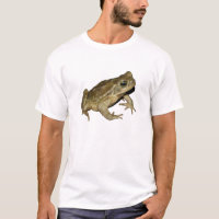 Crapaud