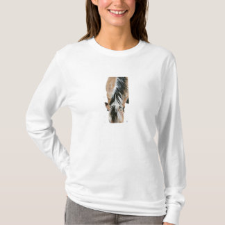 T-shirt Crinière norvégienne de fjord