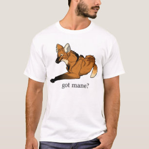 T-shirt Crinière obtenue ?
