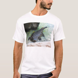 T-shirt Crocodile