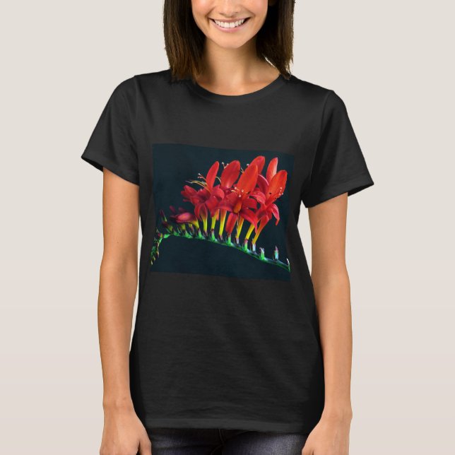 T-shirt Crocosomie Lucifer Montbretia Floral (Devant)