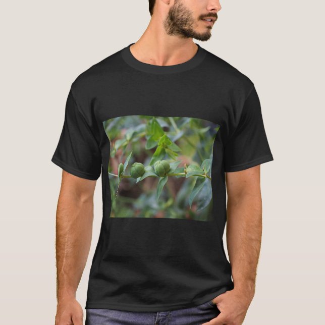 T-shirt Cross-Leaved Milkweed Nature Tee (Devant)