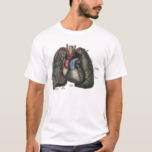 T-shirt Cru 1902 humain d'anatomie de coeur