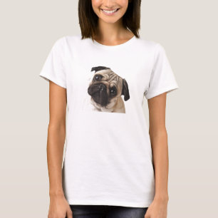 T-shirt curieux de carlin