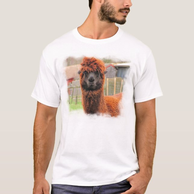 T-shirt ~ curieux T d'alpaga (Devant)