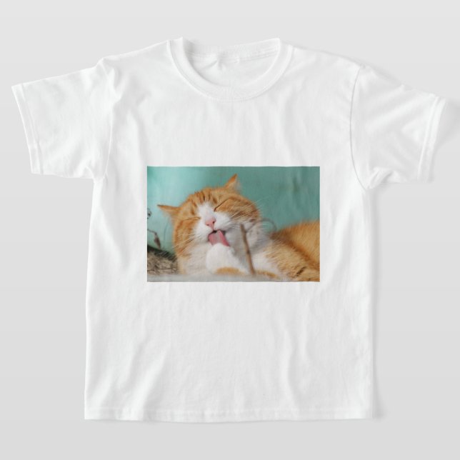 T-shirt Cute Orange Cat Grooming (Poser)