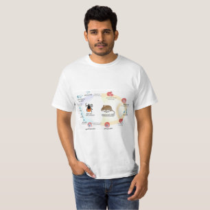 T-shirt Cycle de vie de microti de Babesia de diagramme de