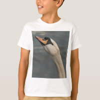 Cygne