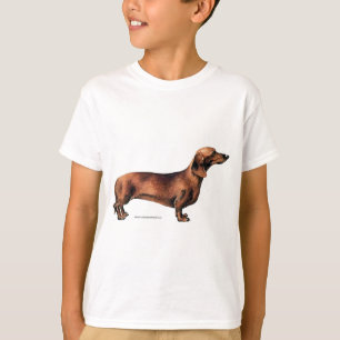 T-shirt Dachshund