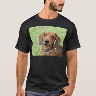 T-shirt Dachshund