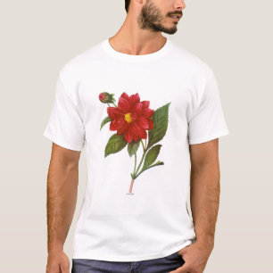 T-shirt Dahlia (dahlia Pinnata)