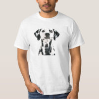 Dalmation
