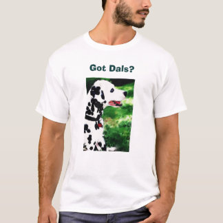 T-shirt Dals obtenu ?