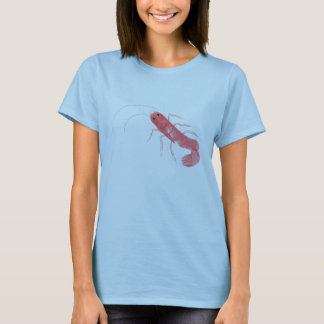 T-shirt dames Prawn