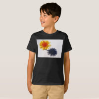 Dandelion et ombre bccnm