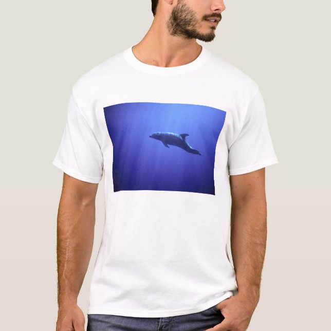 T-shirt Dauphin (Devant)