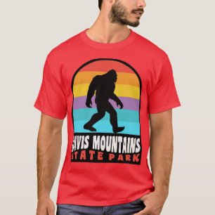 T-shirt Davis Mountains State Park Texas