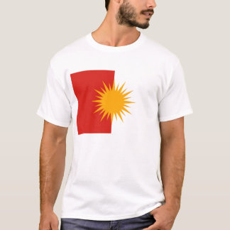T-shirt de drapeau de Yezidi