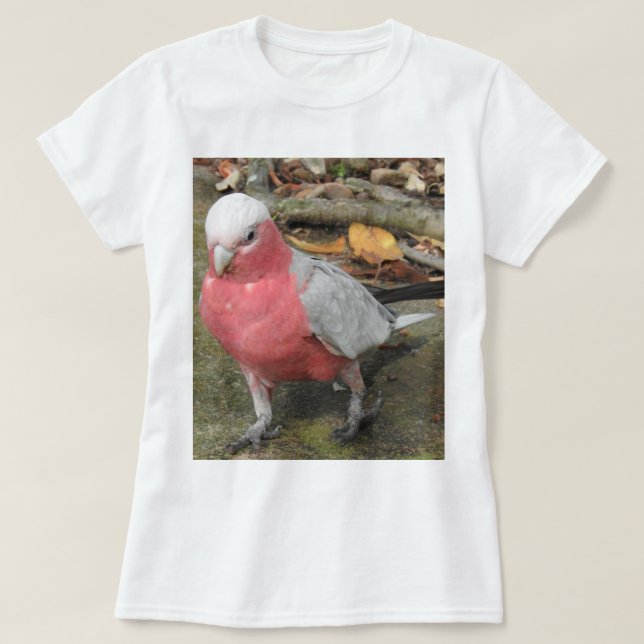 T-shirt de Galah (Design devant)