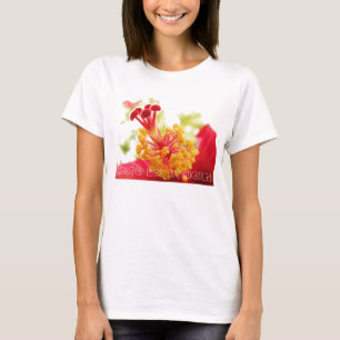 T-shirt de ketmie