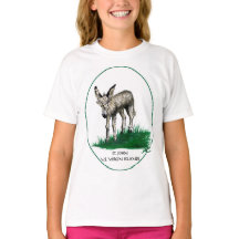 T-shirt de la jeunesse avec l'âne de bébé, St