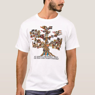 T-shirt de laboratoire de GNL
