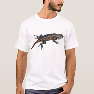 T-shirt de lézard de barrière orientale