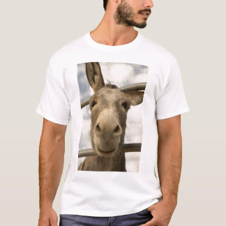 T-shirt de sourire de Burro