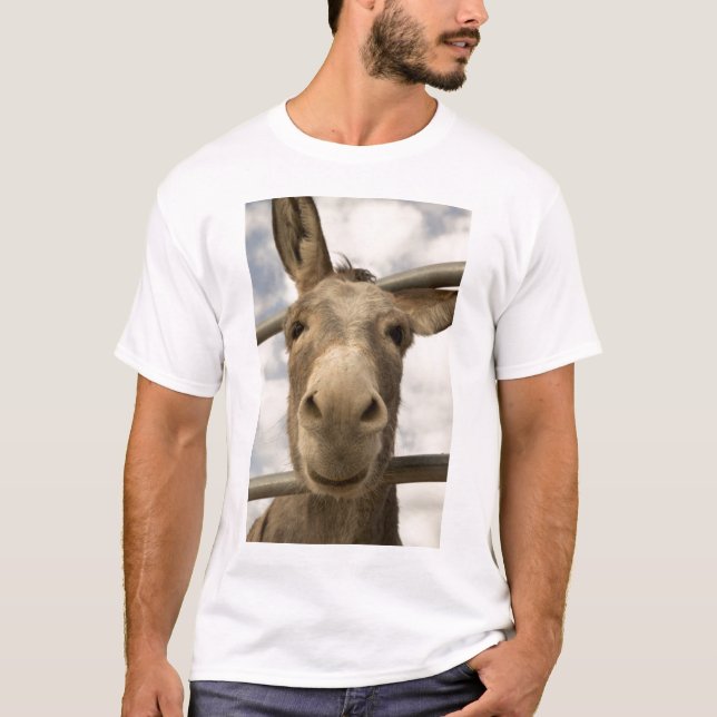 T-shirt de sourire de Burro (Devant)