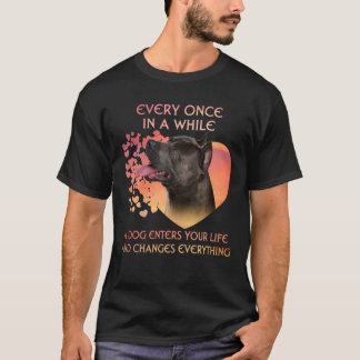 T-shirt De Temps En Temps Un Chien Américain Dog Est Entré