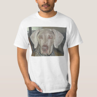 T-shirt de weimaraner