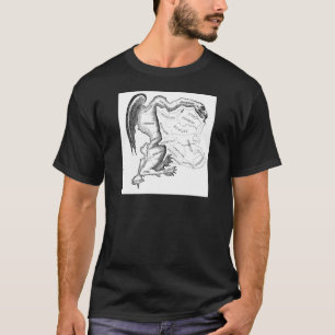 T-shirt Découpage arbitraire de circonscriptions