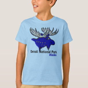 T-shirt Denali National Park Alaska flag elfe boys tee