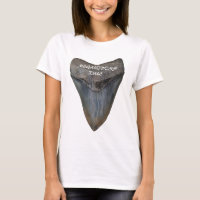 Dent de requin de Megalodon