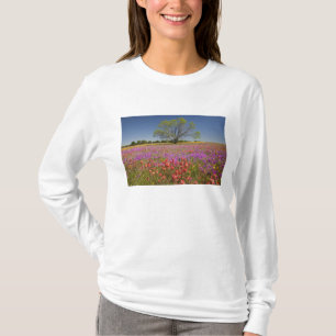 T-shirt Des arbres de prosopis en fleurs au printemps,