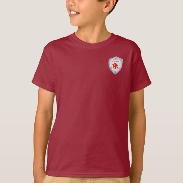 T-shirt des futurs ingénieurs du BACS (Devant)