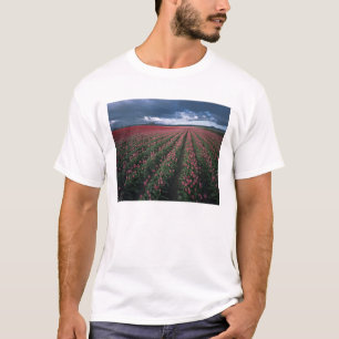 T-shirt Des tulipes roses et rouges brillantes resplendiss