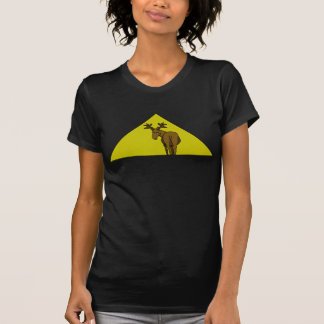 T-shirt Désolé à son sujet